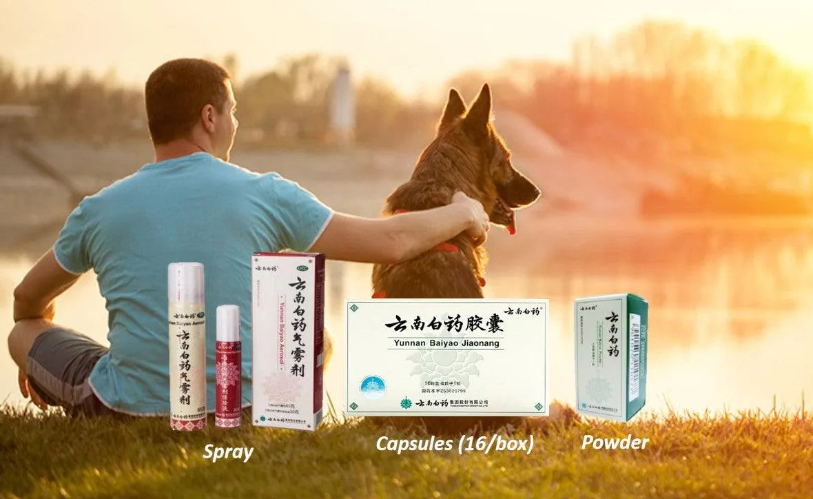 Understanding the Differences: Yunnan Baiyao Capsules, Powder, Spray, and Plasters - New Green Nutrition