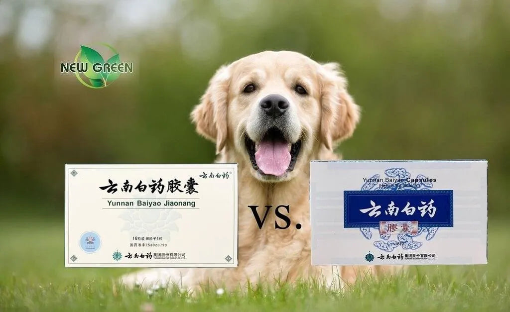 Yunnan Baiyao Capsules Green Box vs. Blue Box - New Green Nutrition