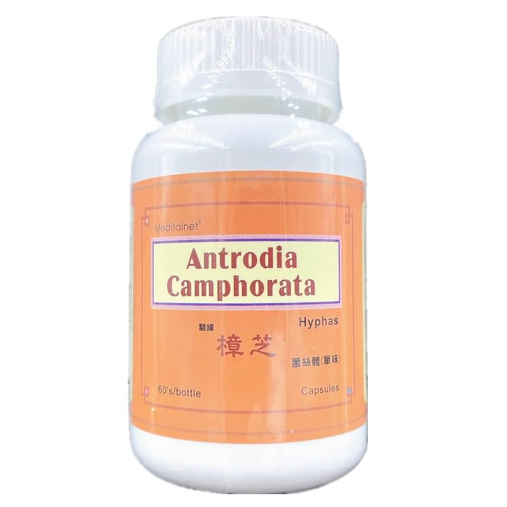 Meditalent Antrodia Camphorata (60 Capsules) - Buy at New Green Nutrition