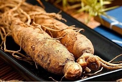 What is Ginseng? What Can Ginseng Do? - New Green Nutrition
