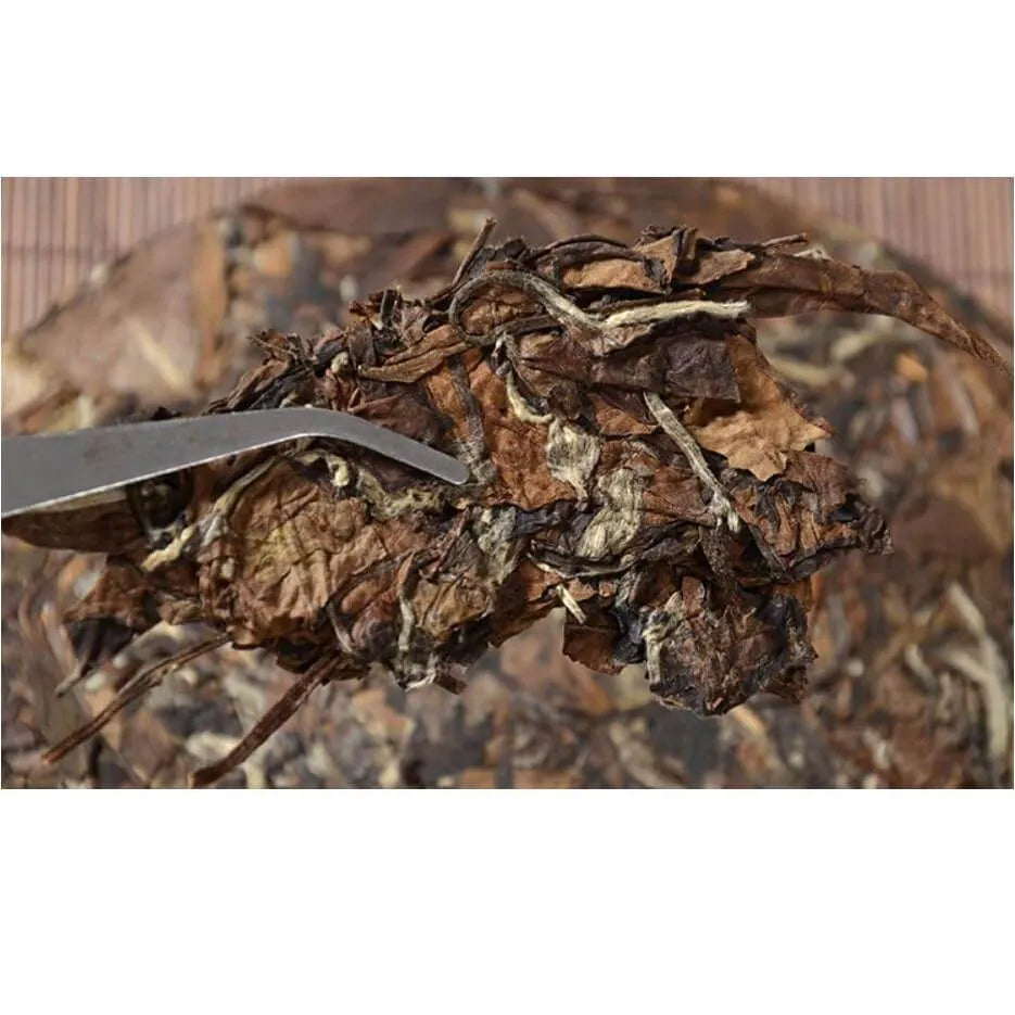 2016 Premium Grade Shou Mei Spring Harvested White Tea Cake 350g (12.3oz) + Free Tea Knife - Buy at New Green Nutrition