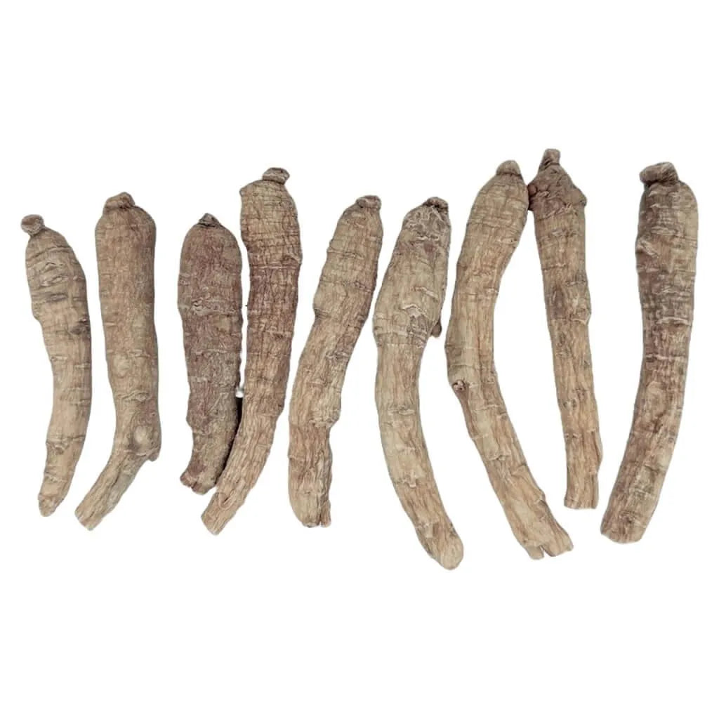 4 Bags Premium American Ginseng Medium Long (4 oz.) - Buy at New Green Nutrition