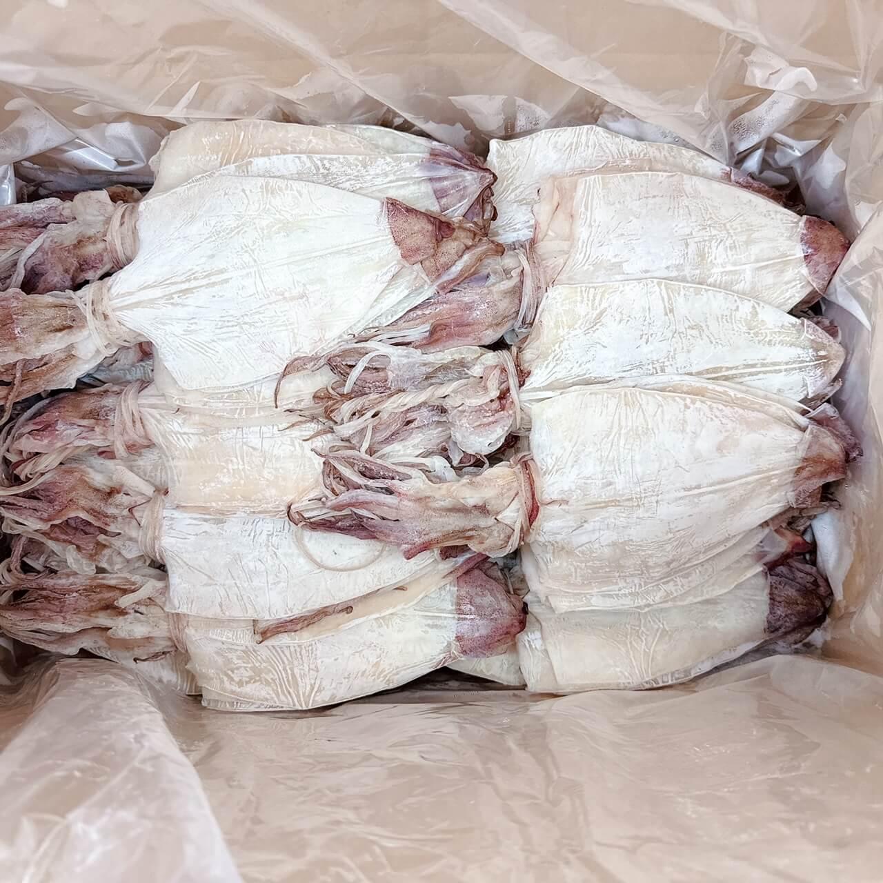 Grand Gift Premium Grade Dried Skinless Squid, Dried Calamari (1LB)