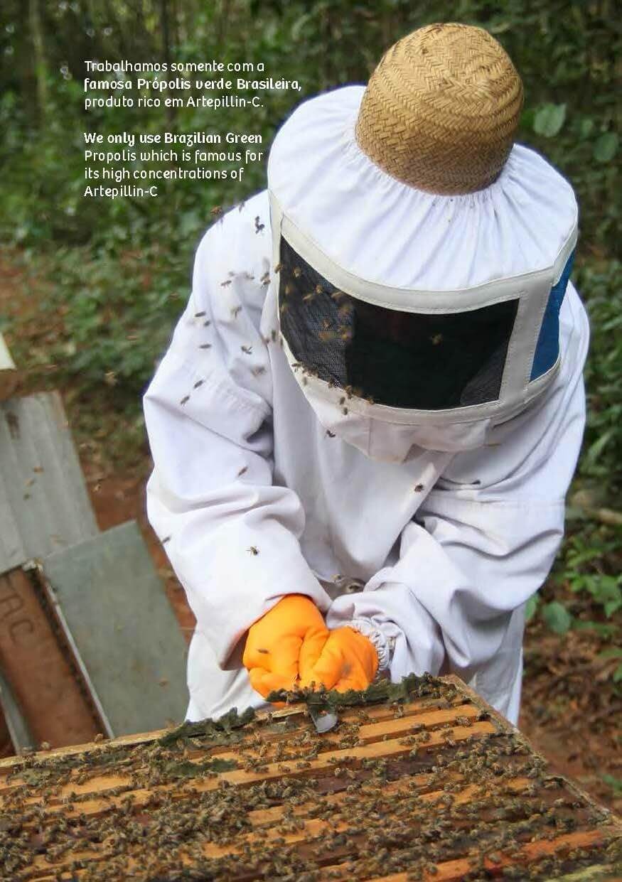 Wax Green Bee Propolis 500mg (60 Capsules) - Buy at New Green Nutrition