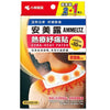 Ammeltz Cura-Heat Unique U-shaped Heat Therapy Patch for Neck & Shoulder Pain (2 Patches + 1 Free)