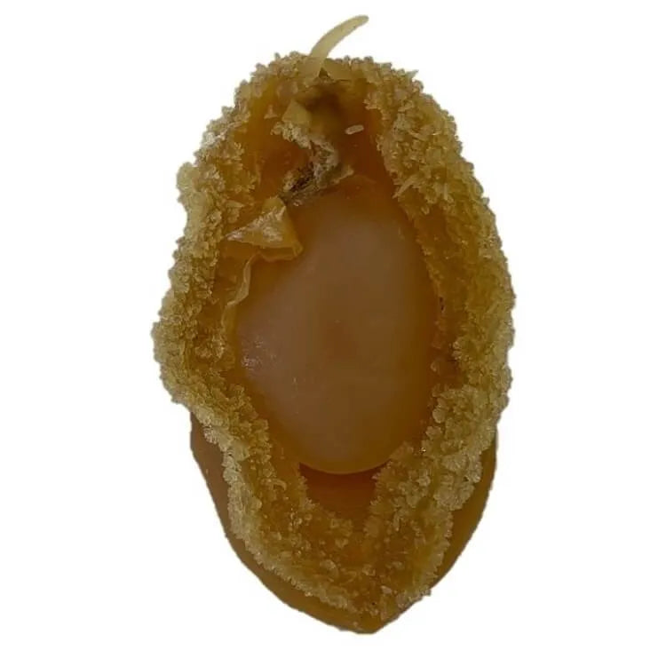 Supreme Dalian Dried Abalone Large Size (8oz. Gift Box) - Buy at New Green Nutrition