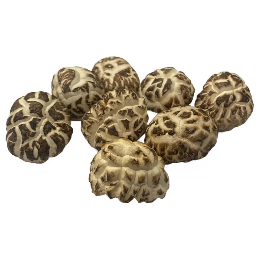 Herbsgreen Premium Grade Dried White Flower Shiitake Mushrooms (1 LB) - Buy at New Green Nutrition