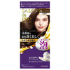Dariya Salon De Pro Foam Dye Hair Color Kit (#6 Dark Brown)
