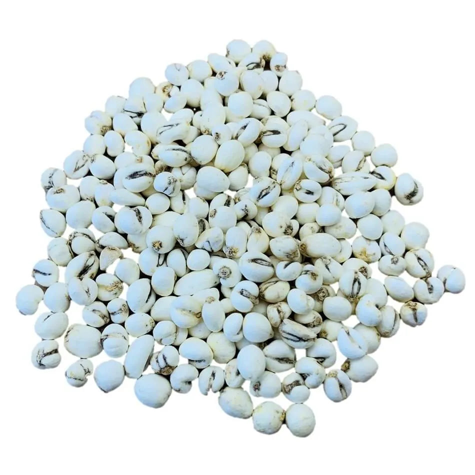 Dried Herb Wild Chuan Bei Mu, Fritillary Bulb (4oz. - 8oz.) - Buy at New Green Nutrition