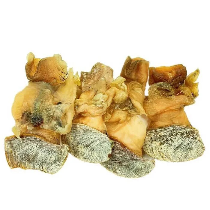 Extra Large Fresh Dried Whelk Conch Slices (1LB) - Buy at New Green Nutrition