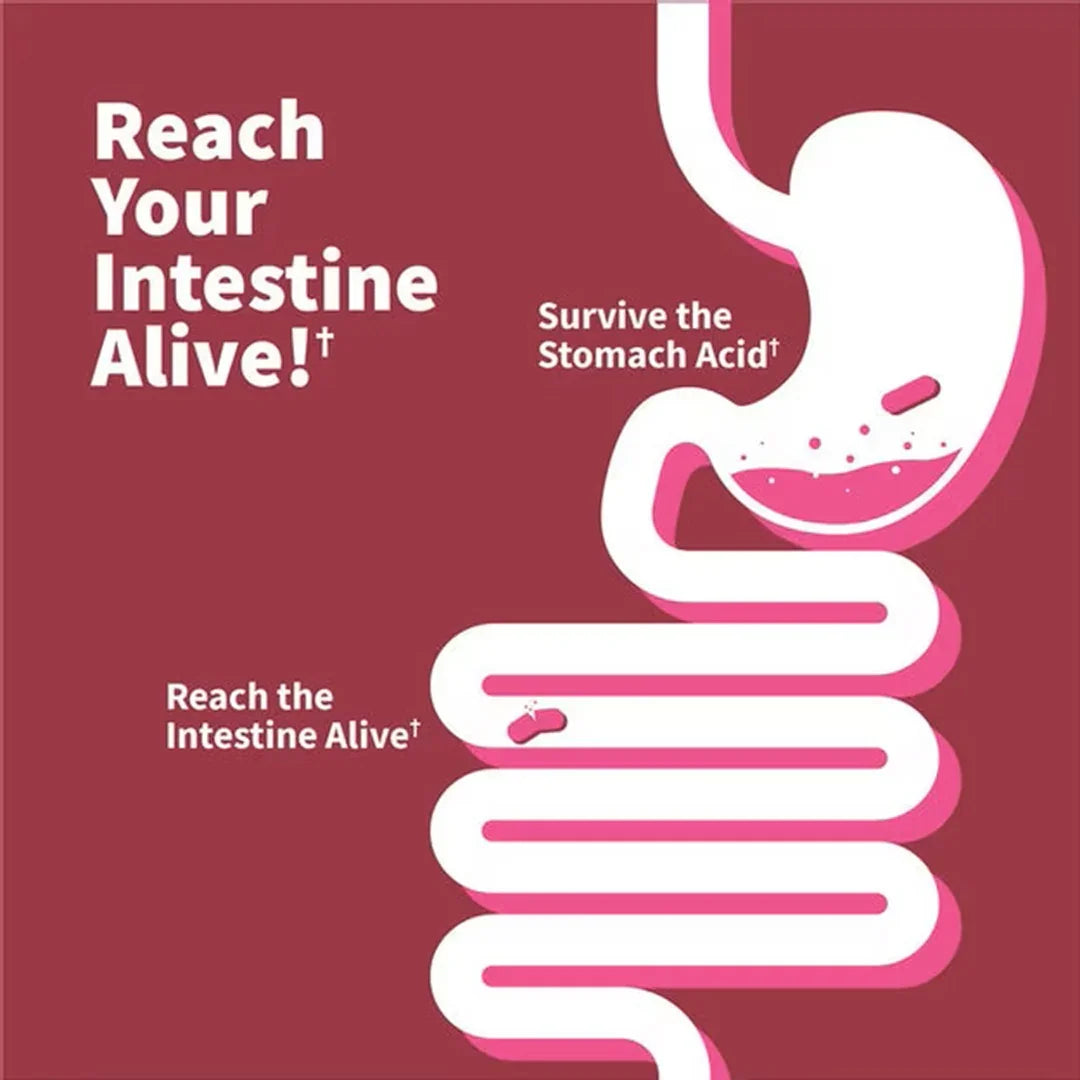 Garden of Life Dr. Formulated Probiotics Women's PH Pre + Pro + Postbiotics 50 Billion (30 Vegetarian Capsules) - Buy at New Green Nutrition