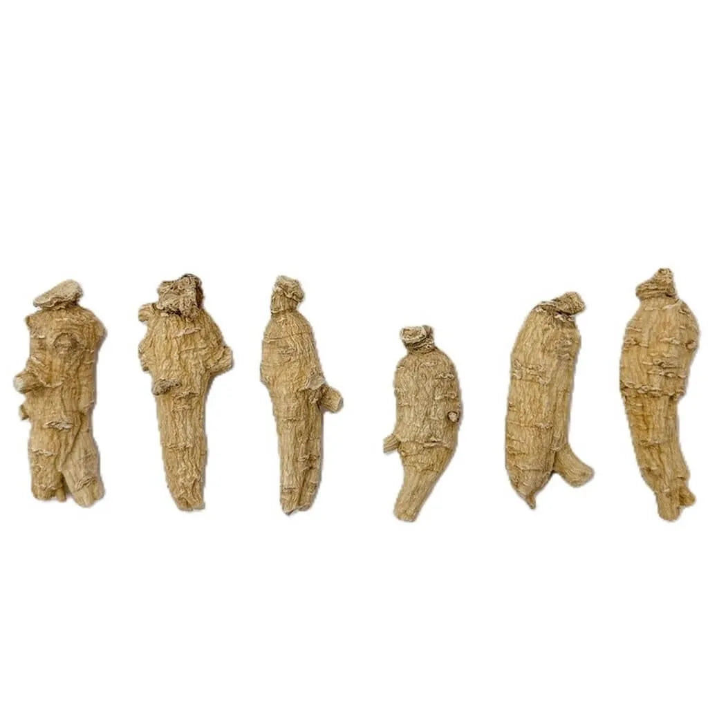Hand Selected A Grade American Ginseng Medium Short Size (4 Oz.) - 4 Boxes + 1 Free - Buy at New Green Nutrition