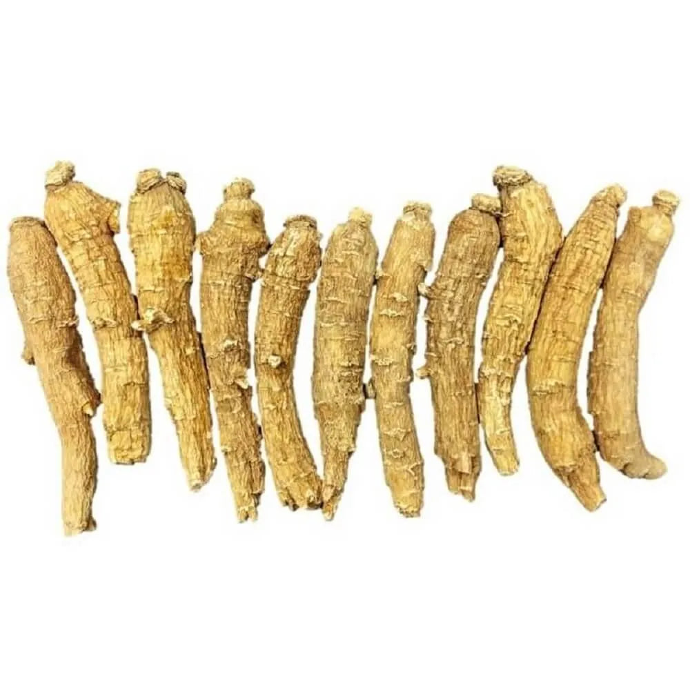 Hand Selected A Grade American Ginseng Medium Thin-Short Size (4 Oz.) - Buy at New Green Nutrition