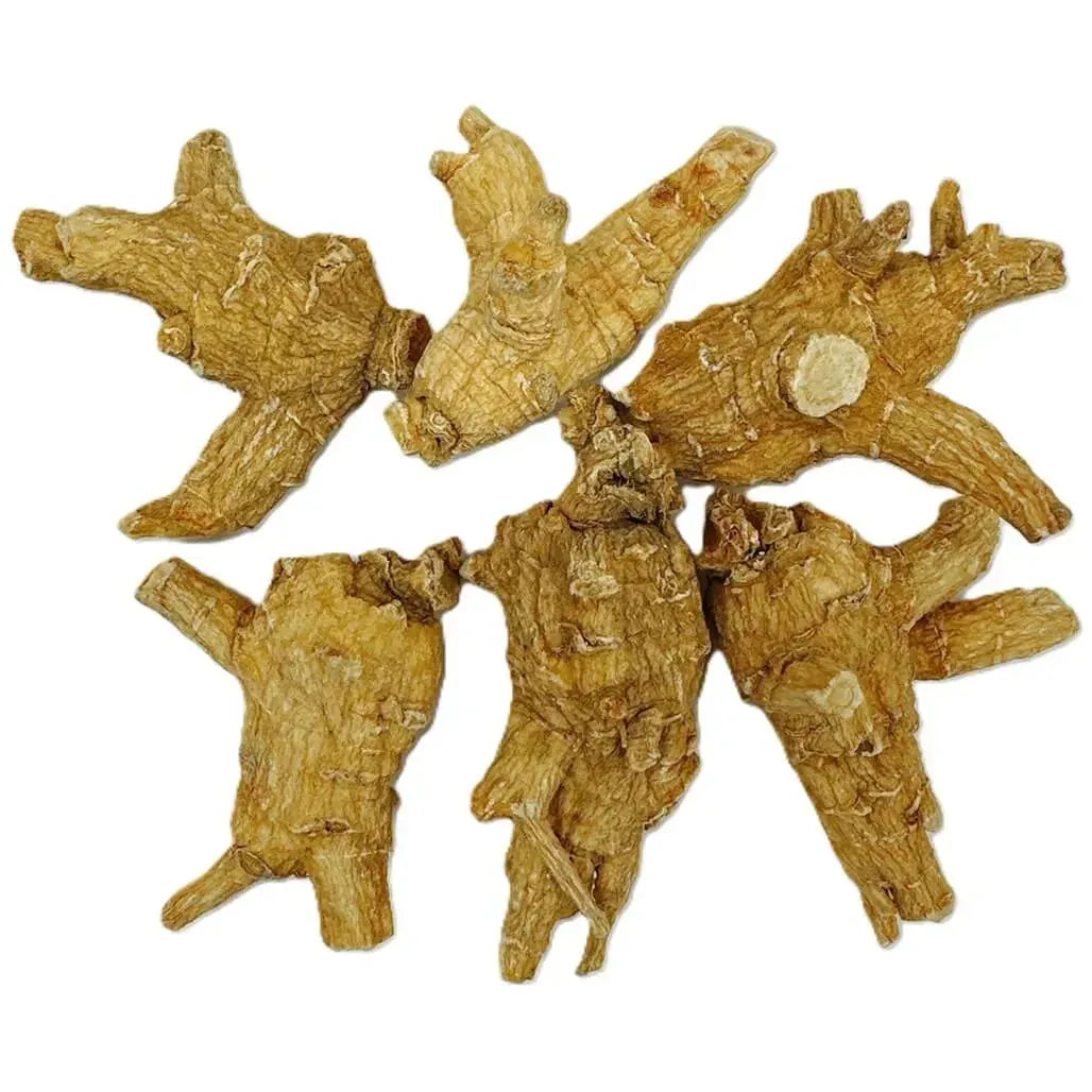 Hand Selected A Grade American Ginseng Root - Large Round Jumbo Size (4 Oz. Box) - Buy at New Green Nutrition