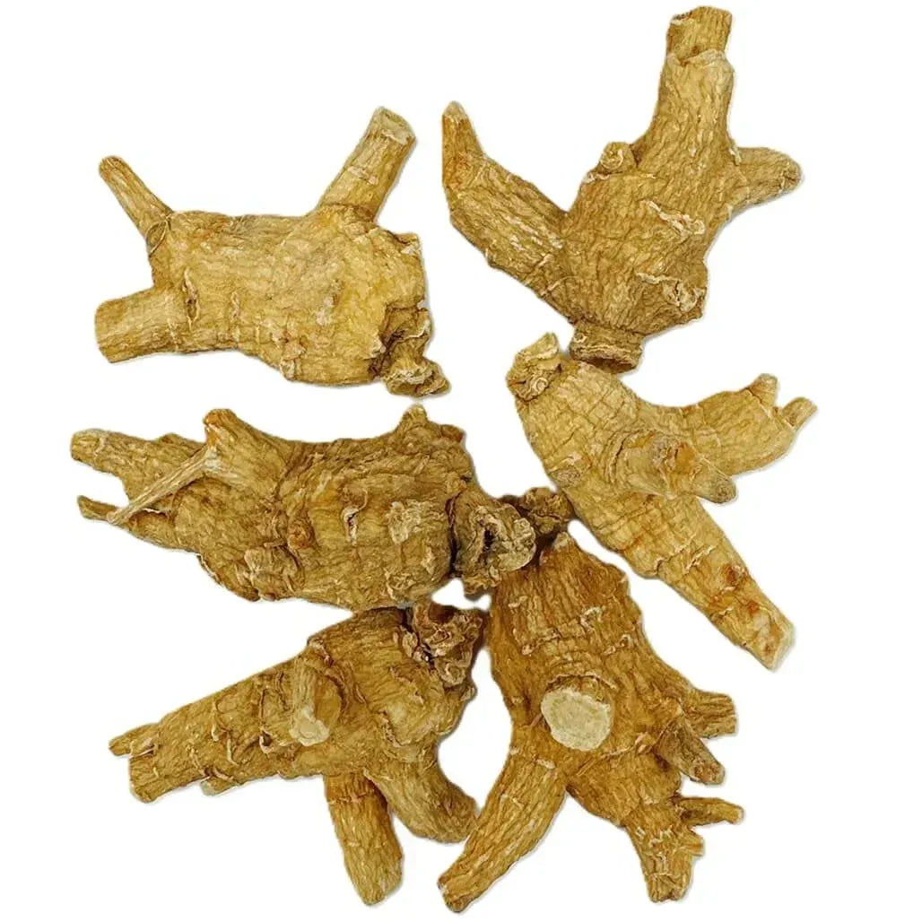 Hand Selected A Grade American Ginseng Root - Large Round Jumbo Size (4 Oz. Box) - Buy at New Green Nutrition