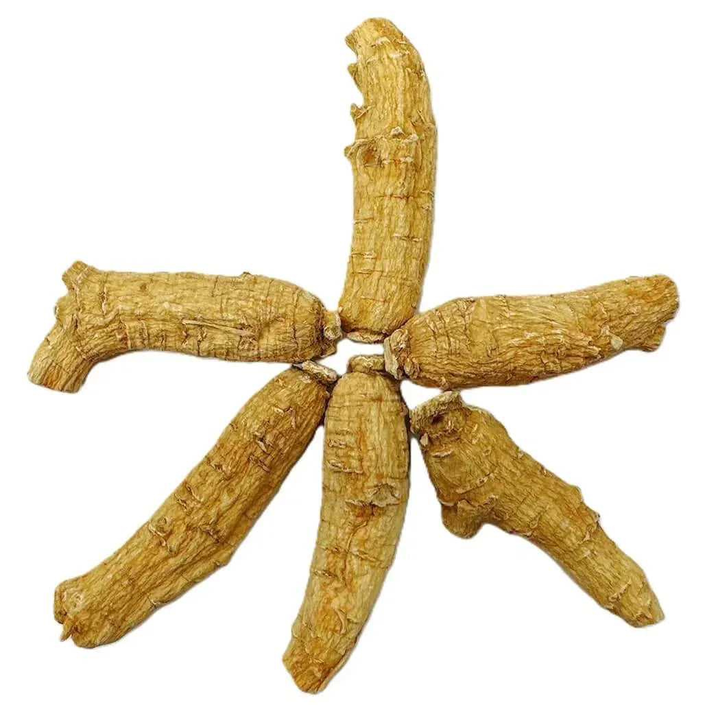 Hand Selected A Grade American Ginseng Root Large Short (4 Oz.) - Buy at New Green Nutrition