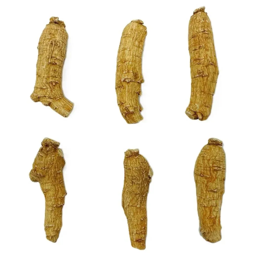 Hand Selected A Grade American Ginseng Root Large Short (4 Oz.) - Buy at New Green Nutrition