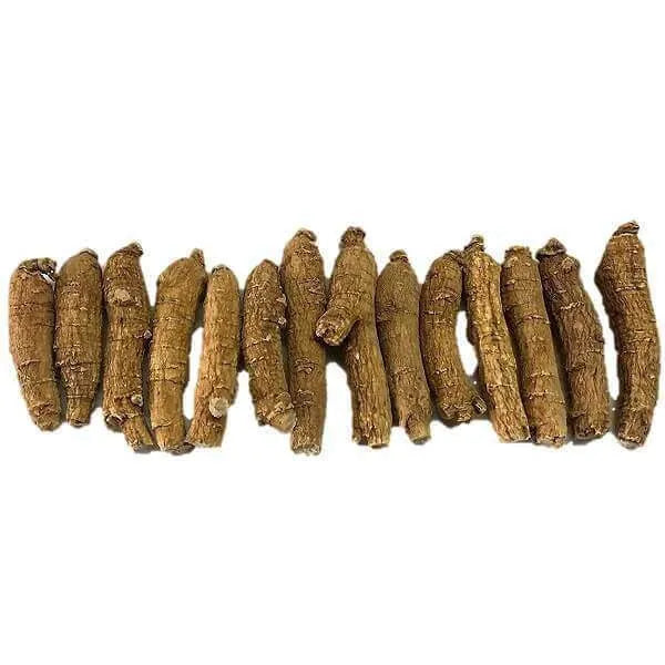 Hand Selected A Grade American Ginseng Small Thin-Short (4 Oz. Box) - Buy at New Green Nutrition