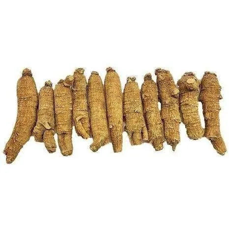 Hand-selected American Ginseng Root Large Medium-Short Size (Gift Bag） - Buy at New Green Nutrition