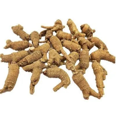 Hand-Selected American Ginseng Root- Medium Size Original Root (Gift Bag） - Buy at New Green Nutrition