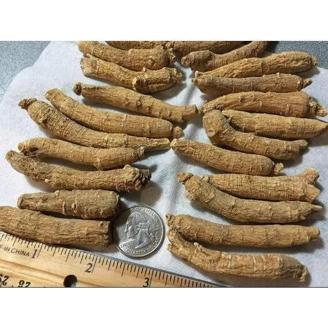 Hand-selected American Ginseng Root Medium Thin-Short Size (Gift Bag） - Buy at New Green Nutrition