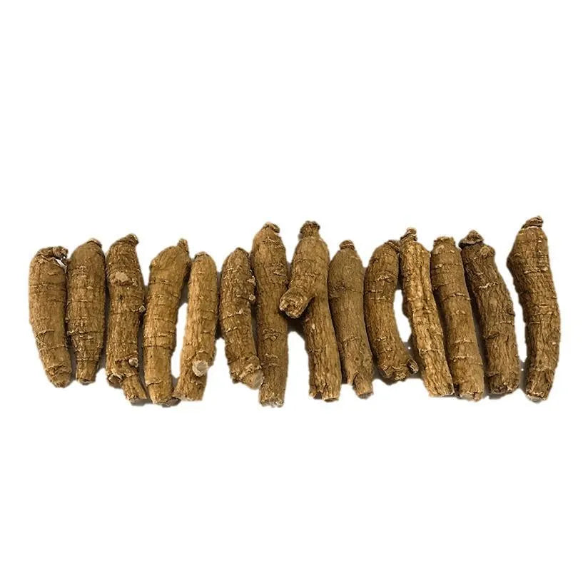 Hand-selected American Ginseng Root Small Thin-Short Size (Gift Bag） - Buy at New Green Nutrition