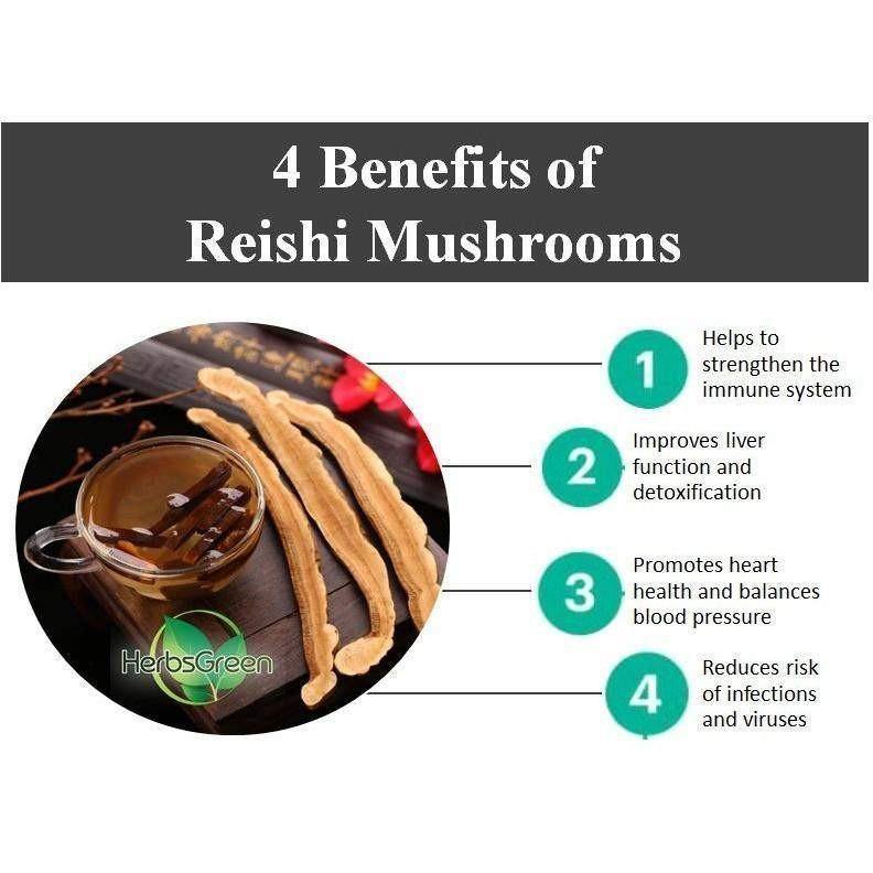 Herbsgreen Japan Red Reishi Mushroom Sliced (1 Lb) - Buy at New Green Nutrition