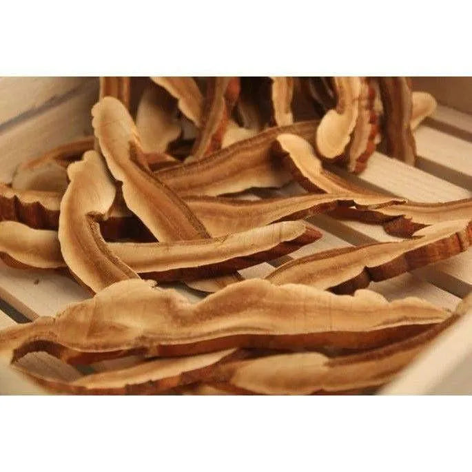 Herbsgreen Japan Red Reishi Mushroom Sliced (1 Lb) - Buy at New Green Nutrition