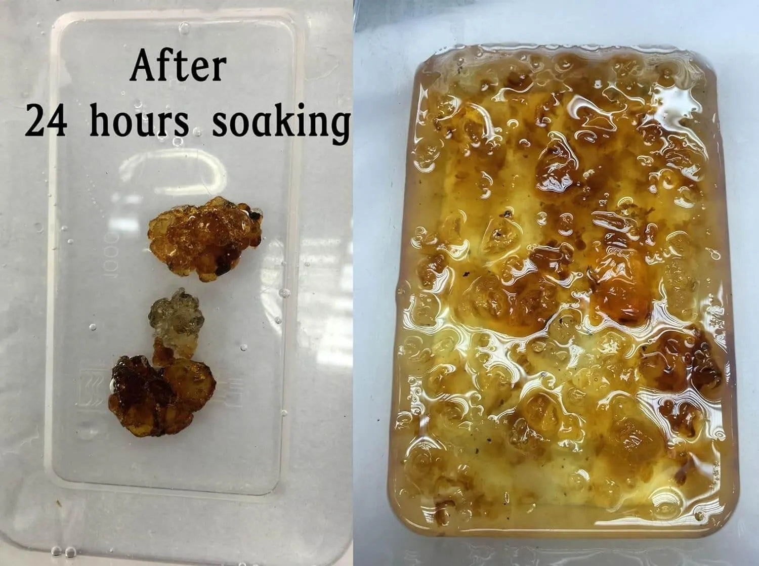 HerbsGreen Natural Dried Tao Jiao, Peach Gum (8oz. - 2lbs) - Buy at New Green Nutrition