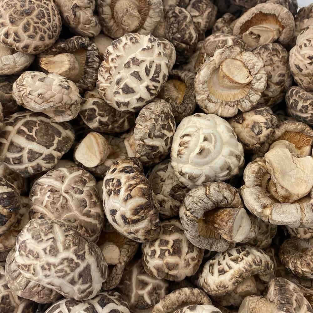 Herbsgreen Premium Grade Dried White Flower Shiitake Mushrooms (1 LB) - Buy at New Green Nutrition
