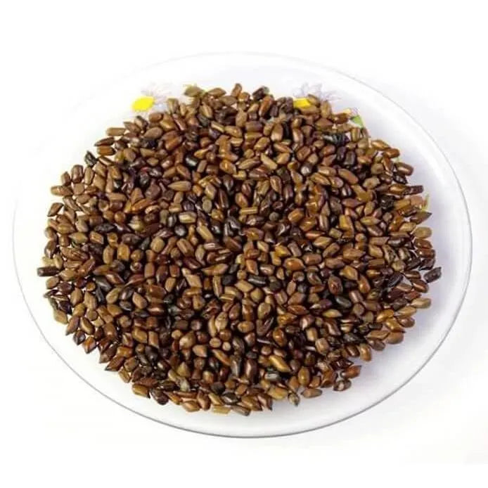 Jue Ming Zi, Cassia Seed (8oz - 1lb) - Buy at New Green Nutrition