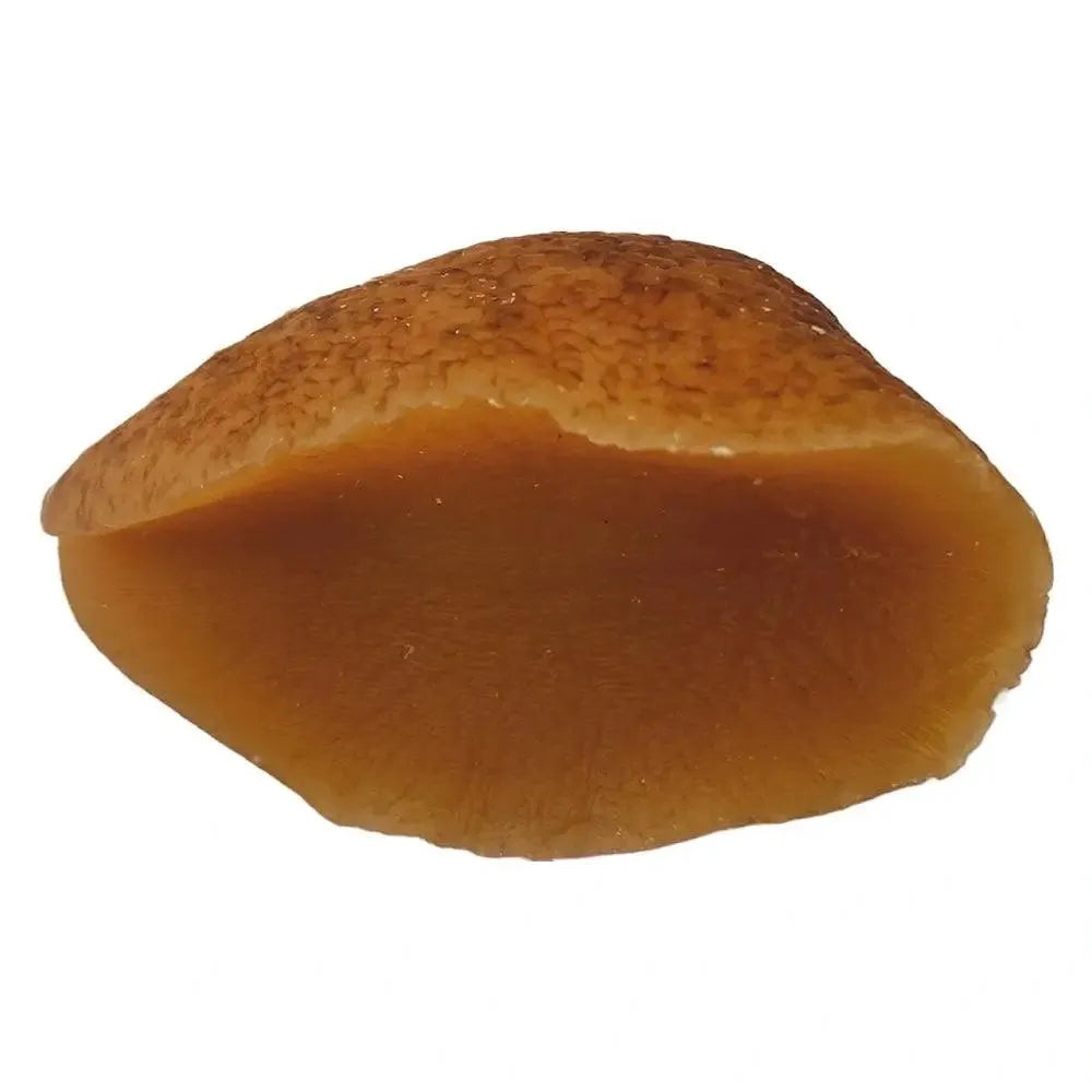 Large Fresh Dried Conch Meat (1LB) - Buy at New Green Nutrition