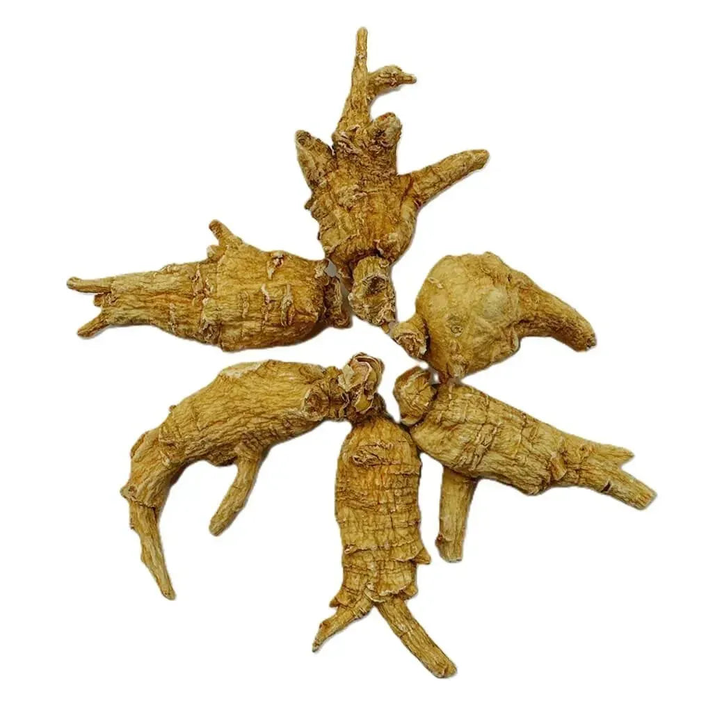 Hand Selected A Grade American Ginseng Root - Medium Round (4 Oz. Box) - Buy at New Green Nutrition