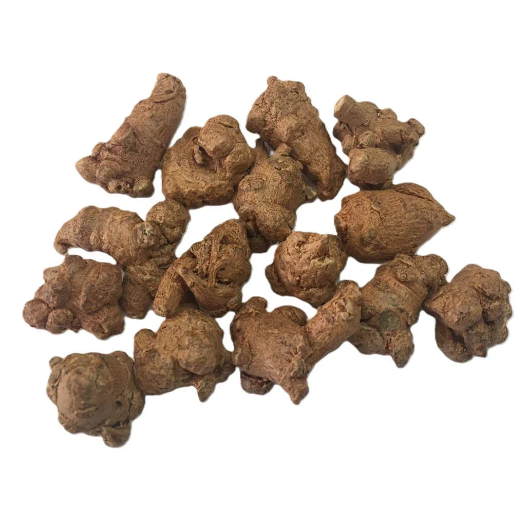 Panax Notoginseng Tienchi (San Qi) Root, Top Grade Herbs (8oz) - Buy at New Green Nutrition