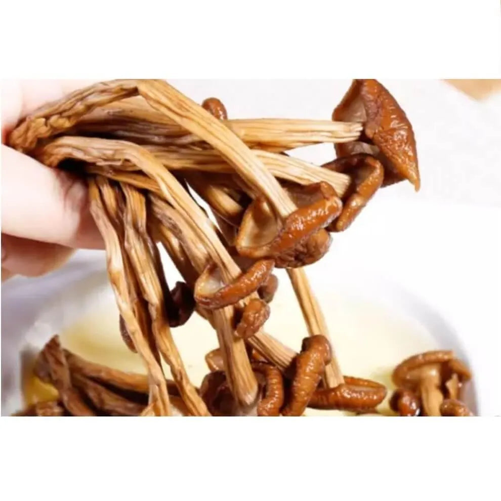Premium Agrocybe Aegerila Dried Mushroom (8oz.) - Buy at New Green Nutrition