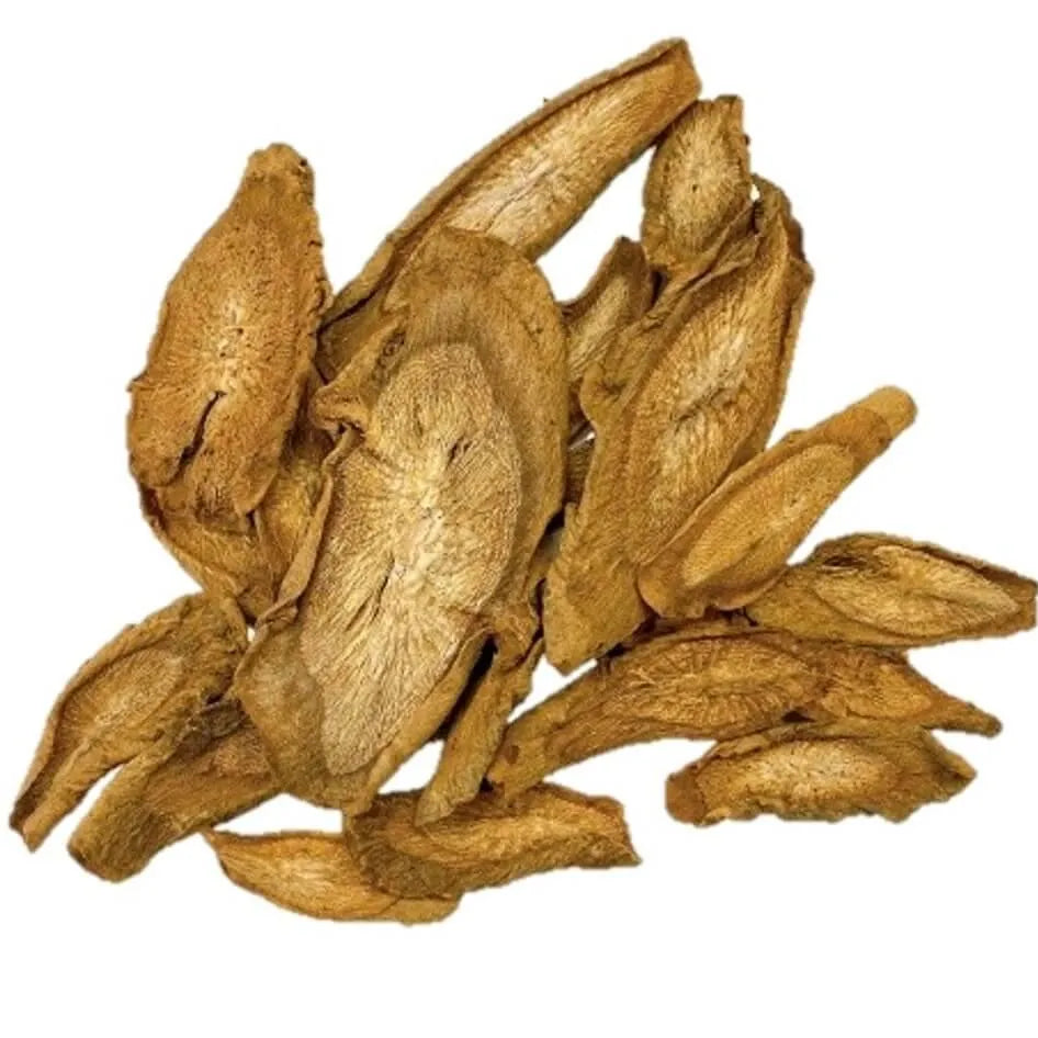 Premium Dried Burdock Root Slice Tea (8oz.) - Buy at New Green Nutrition