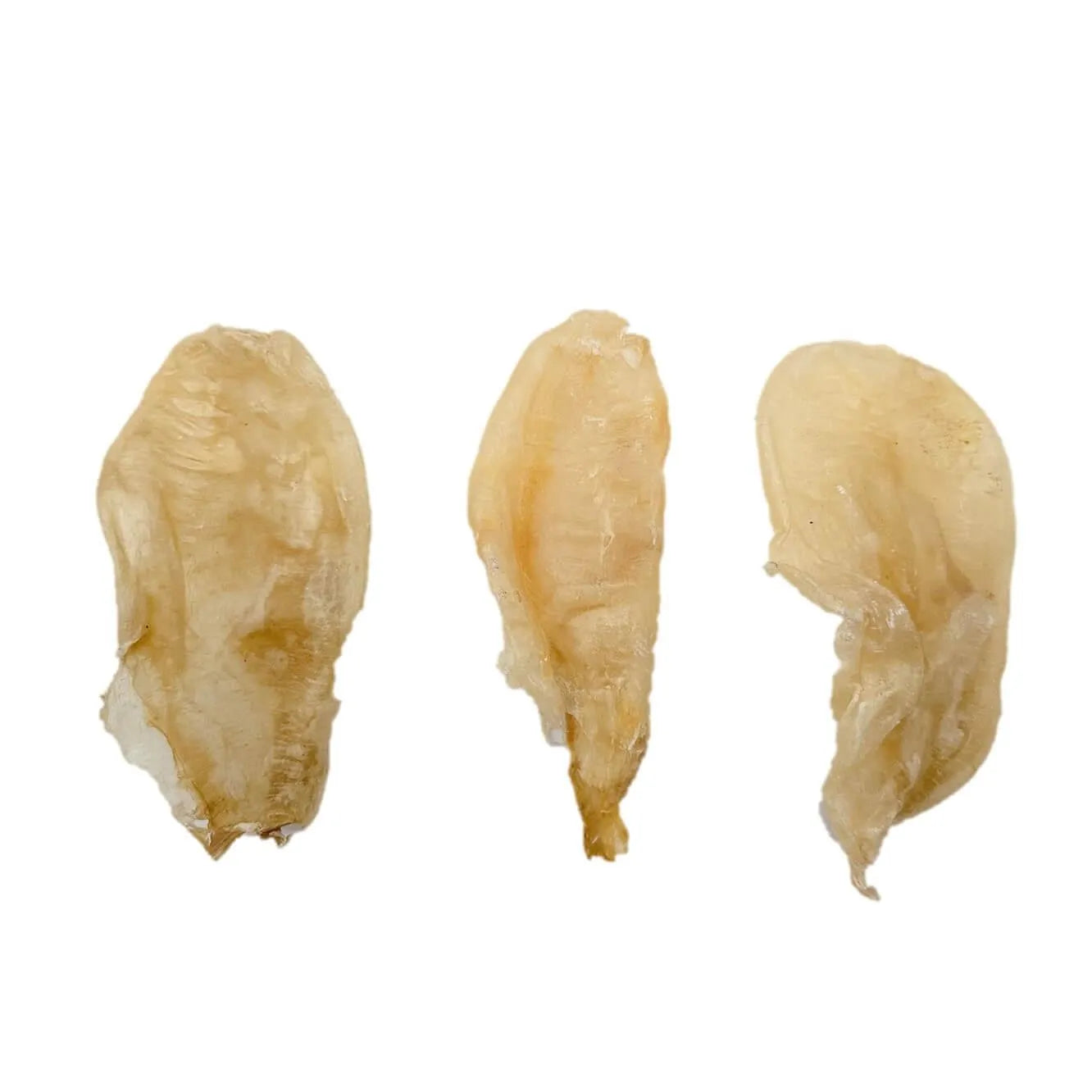 Premium Dried Croaker Fish Maw Medium Size (8oz) - Buy at New Green Nutrition