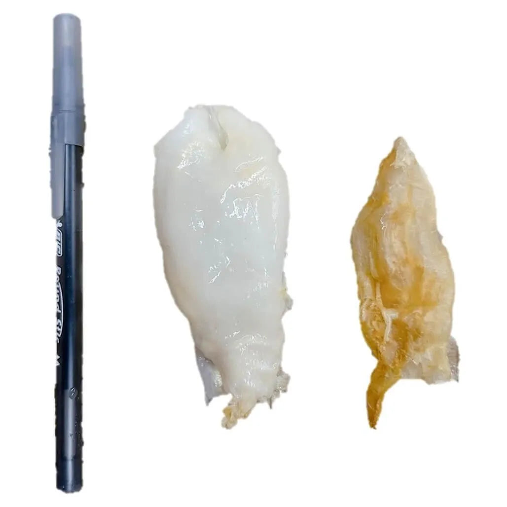 Premium Dried Croaker Fish Maw Small Size (8oz) - Buy at New Green Nutrition
