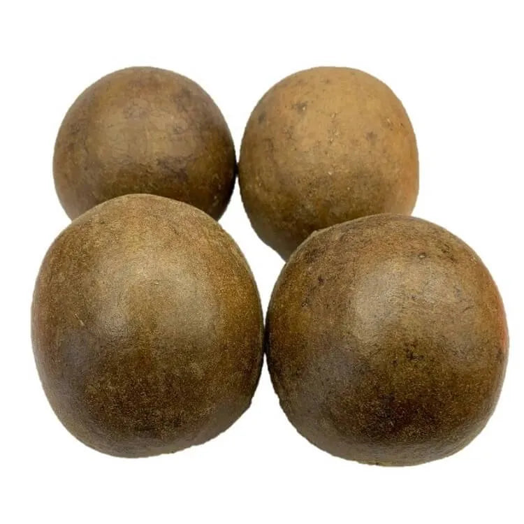 Premium Dried Luo Han Guo, Monk Fruit, Extra Large Size (6 Pieces)