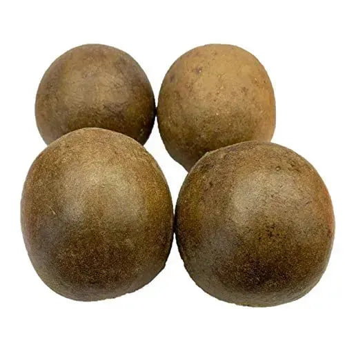 Premium Dried Luo Han Guo, Monk Fruit, Large Size (12 Pieces) – New ...