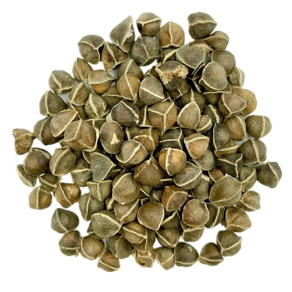 Premium Dried Moringa Seed La Mu Zi (4oz - 8oz) - Buy at New Green Nutrition