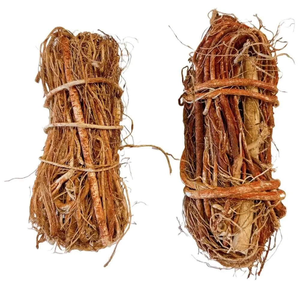 Premium Hispid Fig Root, Wu Zhi Mao Tao (8oz) - Buy at New Green Nutrition