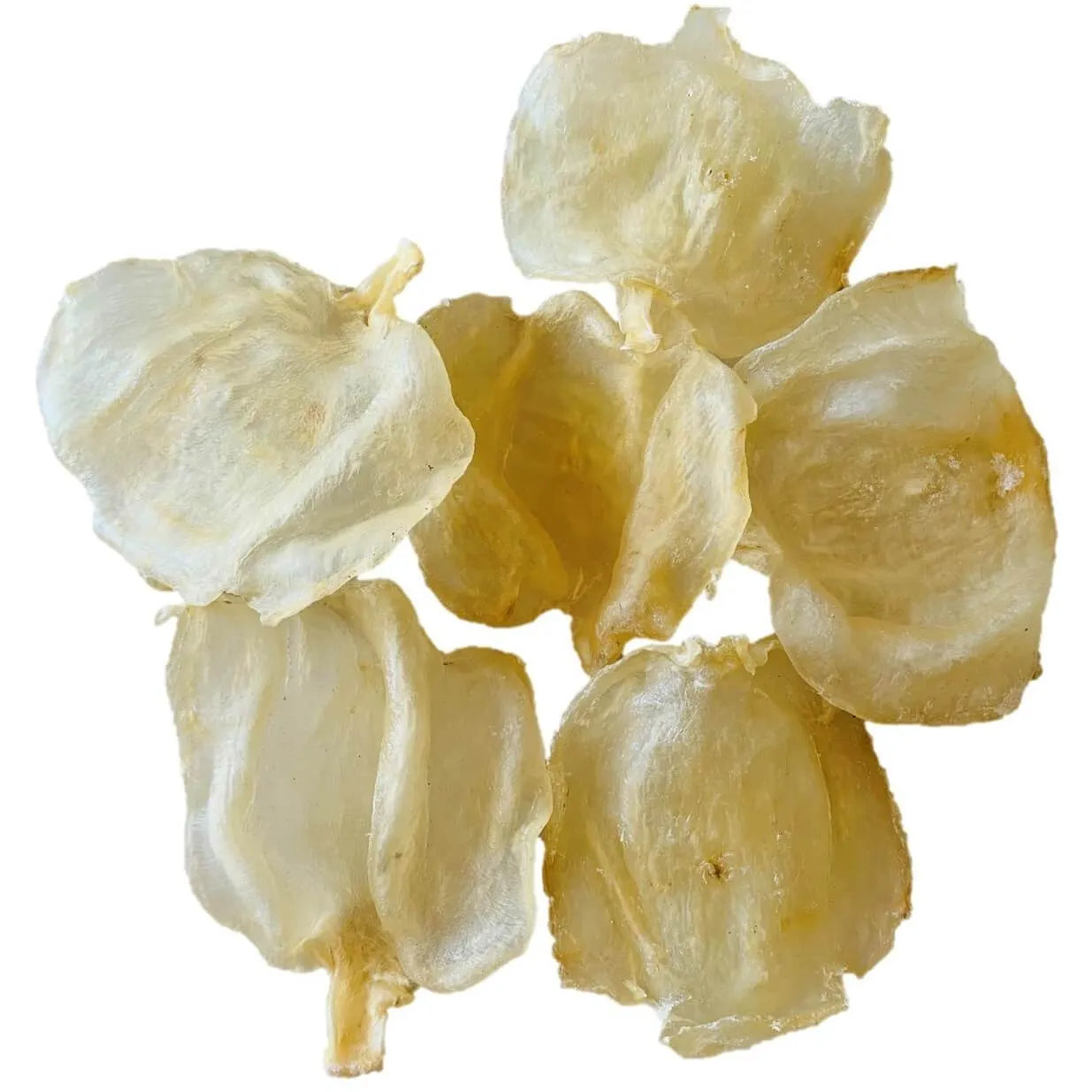 Premium Mexico Dried Fish Maw Extra Large Size 5-7 Pieces (8oz - 1lb) - Buy at New Green Nutrition