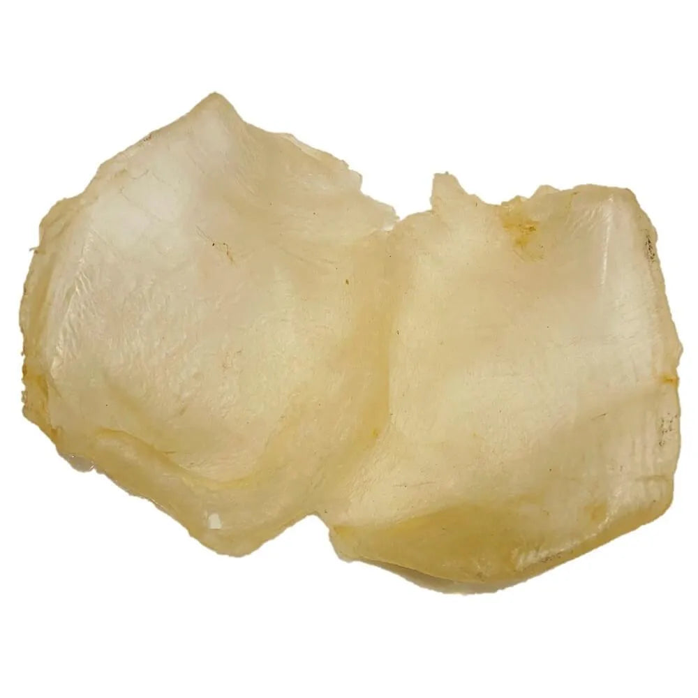 Premium Mexico Dried Fish Maw Medium Size 28-35 Pieces (8oz - 1lb) - Buy at New Green Nutrition