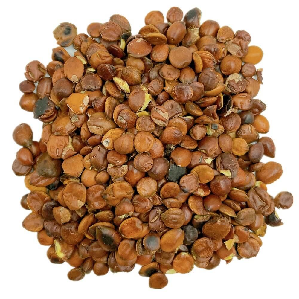 Sauteed Sour Jujube Seeds (Suan Zao Ren) - Buy at New Green Nutrition