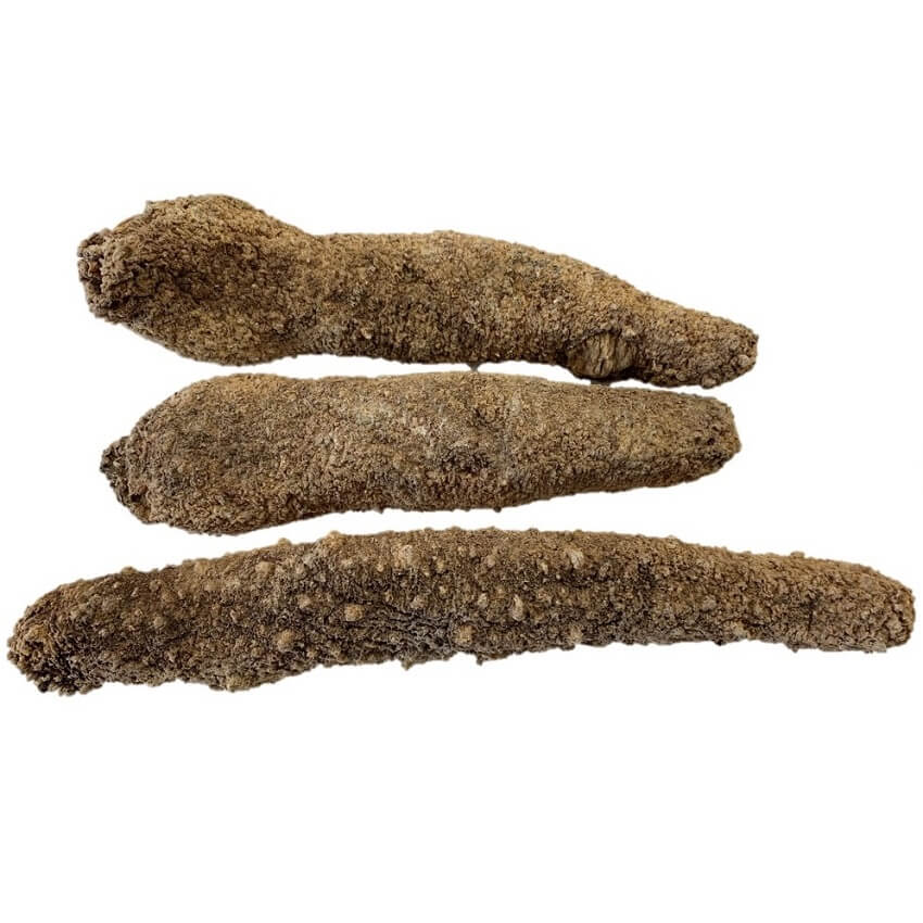Selected Alaska Wild Caught Dried Sea Cucumber Extra Large Size (1 lb) - Buy at New Green Nutrition