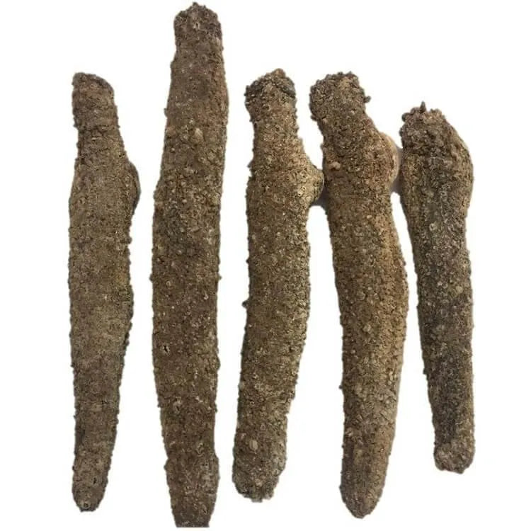 Selected Alaska Wild Caught Dried Sea Cucumber Medium Size (1 lb) Gift Box - Buy at New Green Nutrition