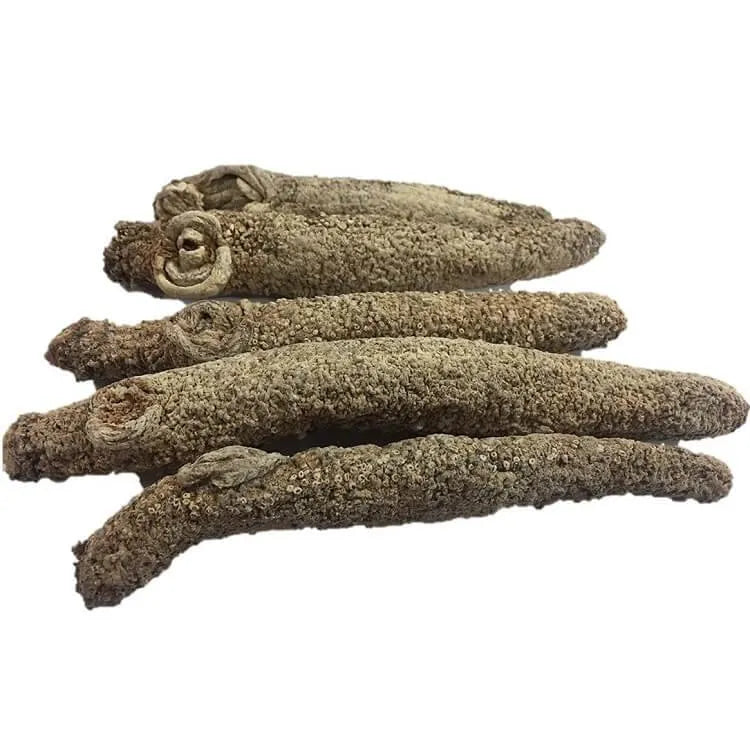 Selected Alaska Wild Caught Dried Sea Cucumber Medium Size (1 lb) Gift Box - Buy at New Green Nutrition