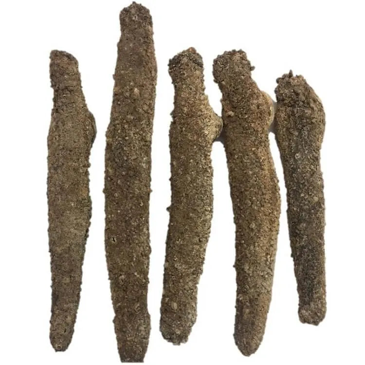 Selected Alaska Wild Caught Dried Sea Cucumber Medium Size (1 lb) - Buy at New Green Nutrition