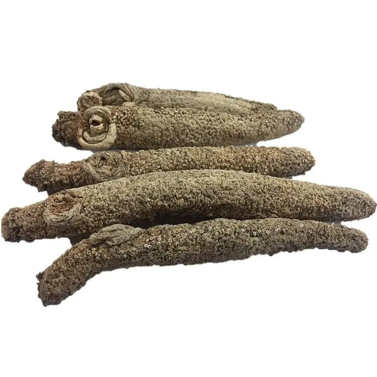 Selected Alaska Wild Caught Dried Sea Cucumber Medium Size (1 lb) - Buy at New Green Nutrition